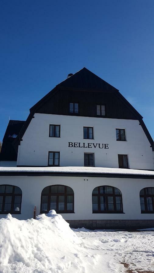 Luxusni Mezonetovy Apartman Bellevue - Novy Benecko Zewnętrze zdjęcie